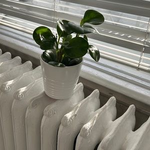 Meet your Posher, Princess P